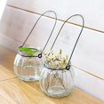 thumbnail image 3 of [1 glass bottle + 1 black bracket] hanging transparent hydroponic small bottle, 3 of 12