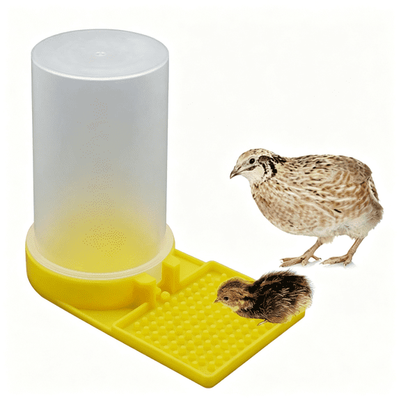 ZXYIE Baby Bird Button Quail Yellow Water Feeder Quail Feeder