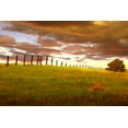 thumbnail image 2 of ODell, Dale 24x17 White Modern Wood Framed Museum Art Print Titled - Fenceline, South Dakota, 2 of 4