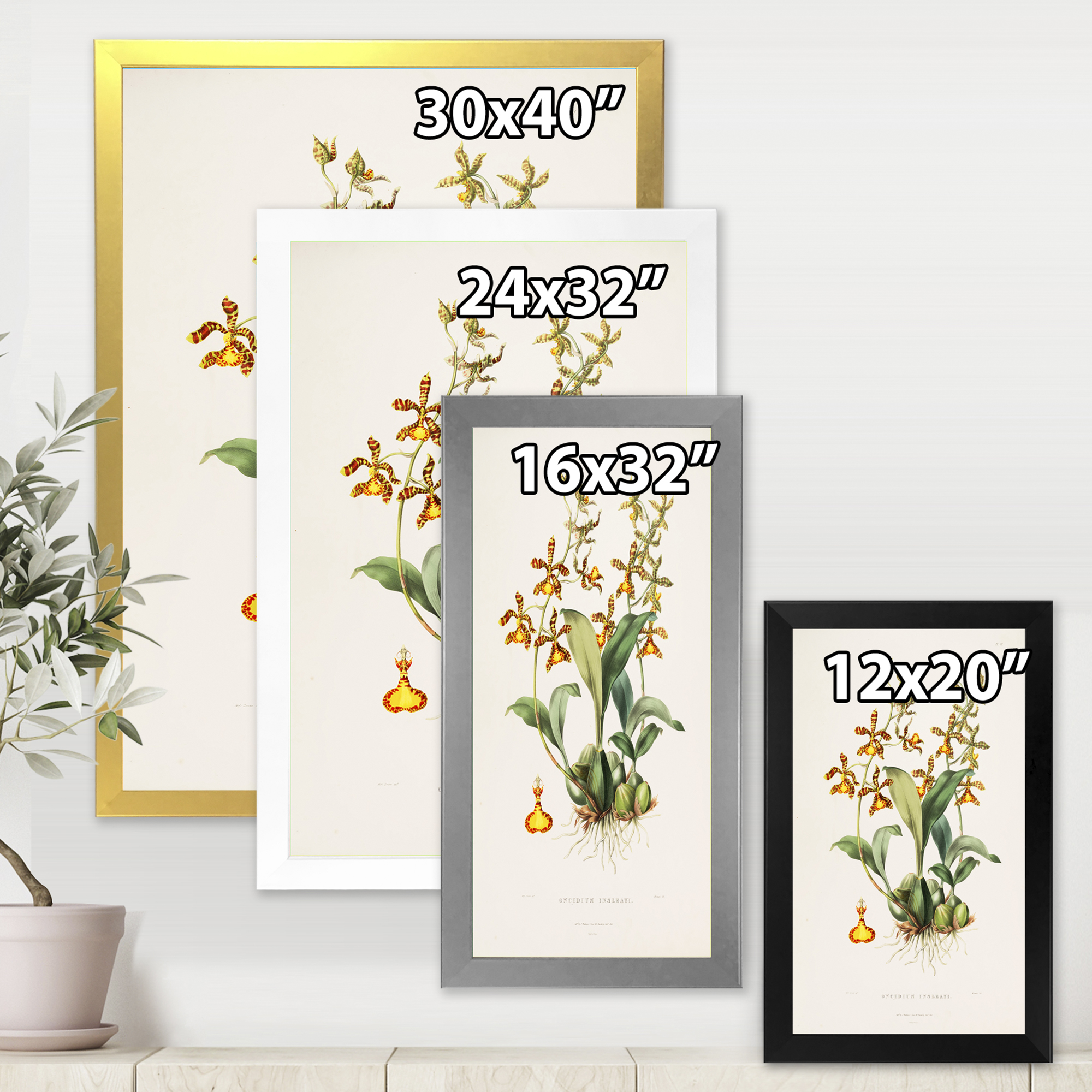 Designart 'Ancient Flower I' Traditional Framed Art Print