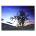 thumbnail image 1 of Melrose 549392 - 27.5" x 20" x 3/4" - "Single Tree / Night Sky" Battery Operated LED Lighted Canvas (Batteries Not Included), 1 of 1