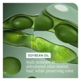 thumbnail image 5 of Matrix Biolage Colorlast Shampoo 33.8 oz & Colorlast Conditioner 33.8 oz Combo Pack, 5 of 9