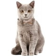 thumbnail image 6 of Plaid Cat Collars Breakaway with Bow Bell, Removable Bowtie, 2 Pack Beige Blue Plaid Kitten Bow Collar for Cats Kittens, 6 of 6