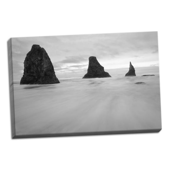Gango Home Decor Contemporary Bandon BW by Stan Hellmann (Ready to Hang); One 24x16in Hand-Stretched Canvas