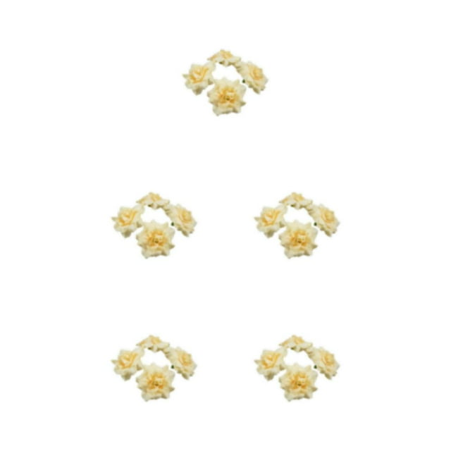 Youkk 50pieces Soft Texture And Realistic Appearance - DIY Projects Parties Fiber Wide Application Multi-color Eco-friendly Champagne 4.5cm 5Set