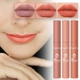 Rose Lip Liner Toasted Heart Lip Gloss Lipstick That Stays on All Day