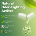 thumbnail image 4 of Migcopat Chlorophyll Body Deodorizing Supplement, Supports Fresh Breath & Whole-Body Freshness, 120 Capsules, 4 of 12