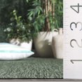 thumbnail image 2 of SAFAVIEH Beach House Jacinth Solid Indoor/Outdoor Area Rug, 2 of 9