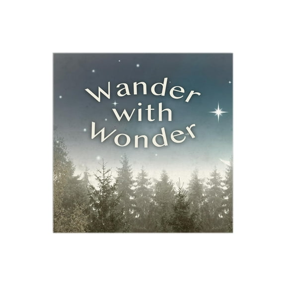Wander With Wonder Blue Sky Stars Trees 12 x 12 Wood Wall Sign Plaque