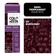 thumbnail image 1 of L'Oréal Paris Colorista Semi Permanente Hair Color, 1 of 7
