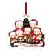 thumbnail image 2 of Teissuly Iron Personalized Survived Family Of Ornament 2020 Christmas Holiday Decorations Teissuly WER202311017055, 2 of 9