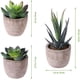 thumbnail image 4 of Trío de plantas suculentas artificiales en macetas para decoración de interiores y exteriores para el hogar, el balcón y la oficina, 4 of 8