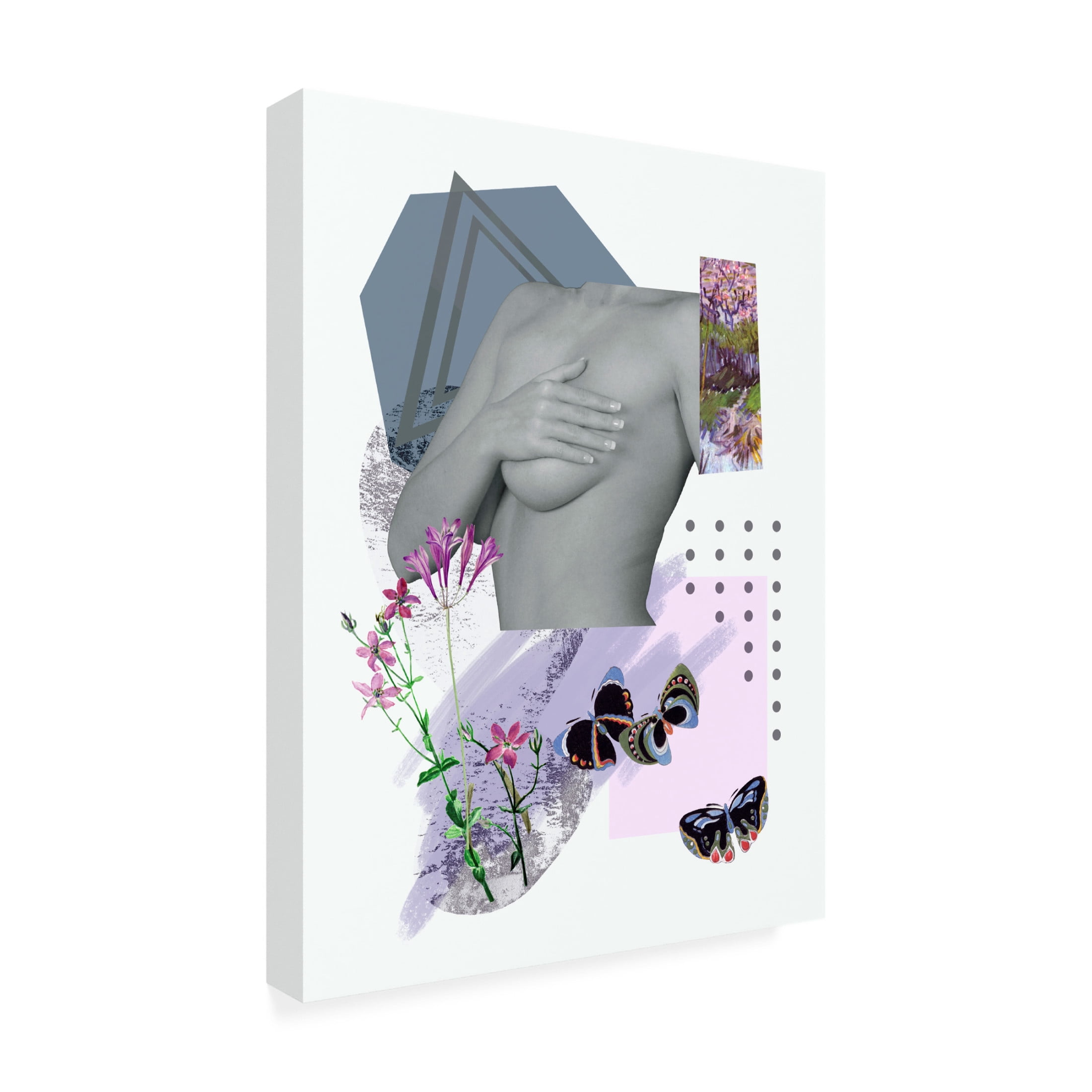 Trademark Fine Art Melissa Wang  A Unique Butterfly II Canvas Wall Art