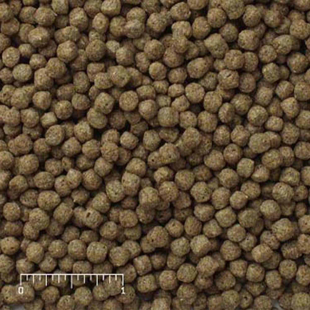 Mazuri Koi Platinum Nuggets Fish Food, 20 lb. Bag