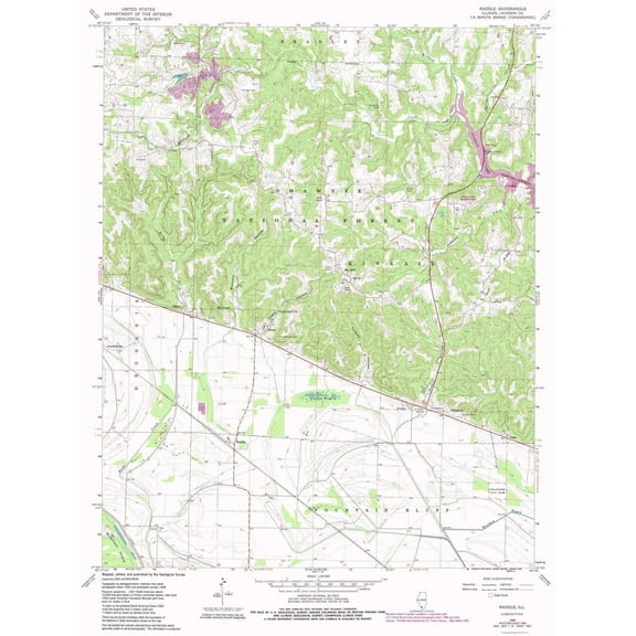 Topographical Map - Raddle Illinois Quad - USGS 1968 - 23 x 30.72 - Vintage Wall Art