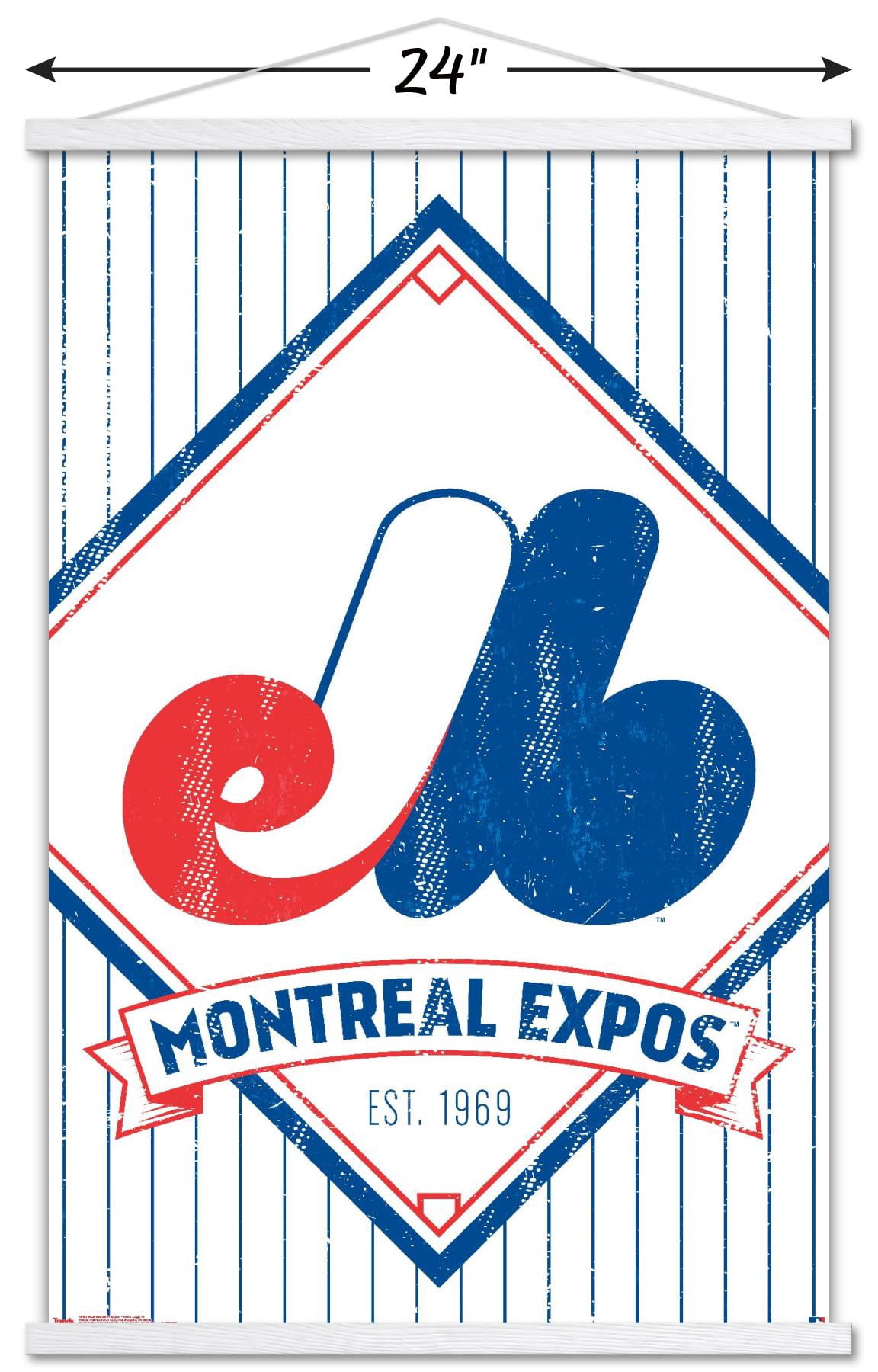 MLB Montreal Expos - Retro Logo 19 Wall Poster with Magnetic Frame, 22.375" x 34"