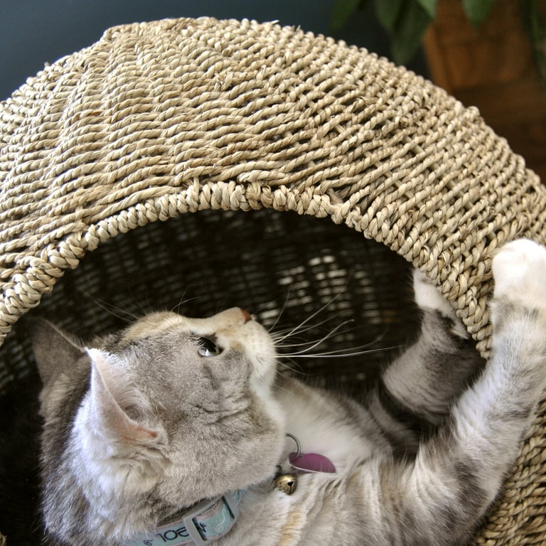 Cat clearance nap pod