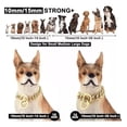 thumbnail image 4 of Nuevo Cadena For Perros Tipo Cubano, Color Dorado, Tipo, 4 of 7