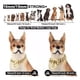 thumbnail image 4 of Nuevo Cadena For Perros Tipo Cubano, Color Dorado, Tipo, 4 of 7