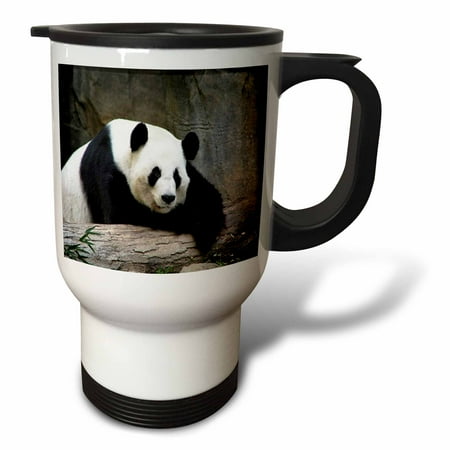

Giant Panda 14oz Stainless Steel Travel Mug tm-47885-1