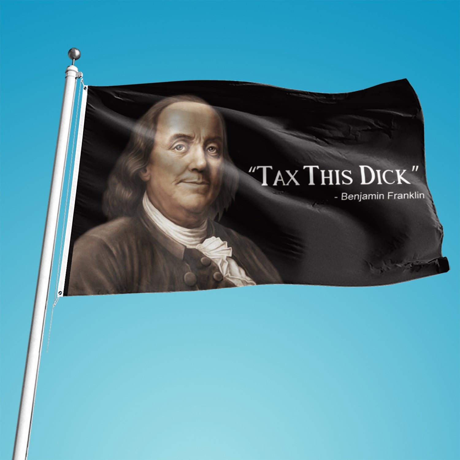 Tax This Dick Benjamin Franklin Funny Political Flag 2X8FT BANNER US Shipper 
