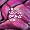 Various Artists - Future Sounds Of Jazz Vol.12 - Jazz - Vinyl