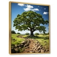 thumbnail image 2 of Designart "Majestic Oak Trees Nature s Wonders I" Floral & Botanical Floater Framed Canvas Print, 2 of 7
