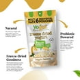 thumbnail image 5 of Freeze-Dried Banana Yogurt Bites, 6-pack, Crunchy Texture, Gluten-Free, Non-GMO, with 5 Billion Probiotic Cultures, 5 of 8