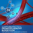 Nervive Nerve Health, Alpha Lipoic Acid, Vitamin B12, B6, B1, Nerve
