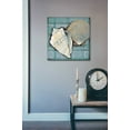 thumbnail image 3 of Epic Art 'Seashell Sketch II' by Tim O'Toole, Acrylic Glass Wall Art, 24"x24", 3 of 5
