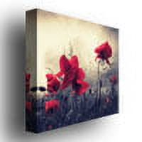 Trademark Art "Red For Love" Canvas Wall Art by Philippe Sainte-Laudy