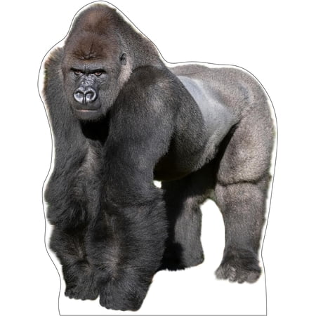 Life Size Cardboard Cutout Standup | Waterproof | Animals - Chimpanzees