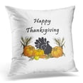 thumbnail image 1 of BOSDECO Happy Thanksgiving Pillowcase Cover 18x18 inch, 1 of 1
