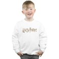 thumbnail image 2 of Harry Potter Boys Full Colour Logo Sweatshirt, 2 of 3