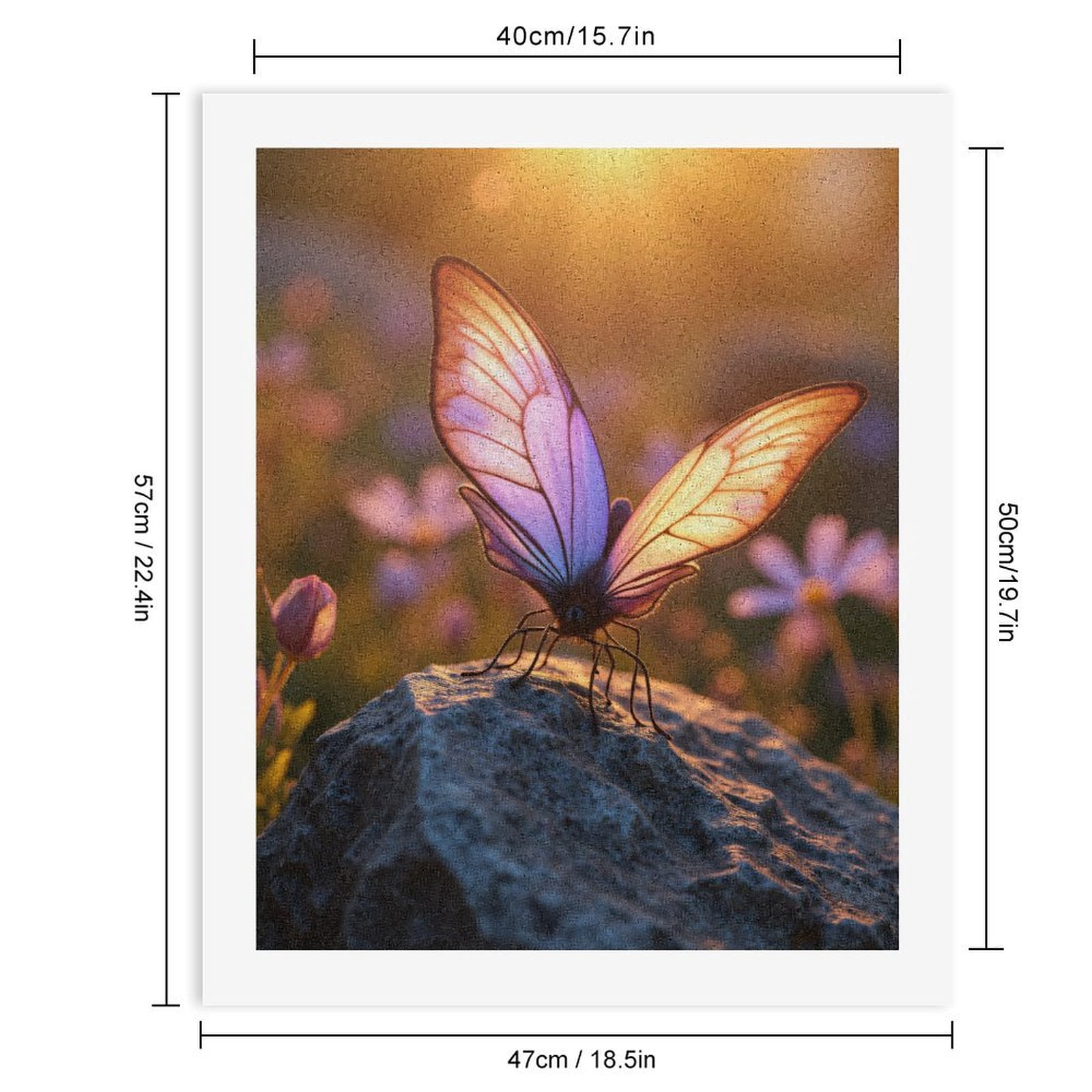 Paint By Numbers Kit for Adults Beginner - Sunlit Butterfly On Rock DIY Canvas Painting Kits for Adults, Frameless Paint By Number for Adults for Home Wall Decor 16x20 Inch