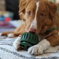 thumbnail image 3 of Dog Slow Feeder Interactive Toy - Food Dispenser, Safe Silicone, Easy Clean, Promotes Healthy Digestion for Pets, 3 of 8