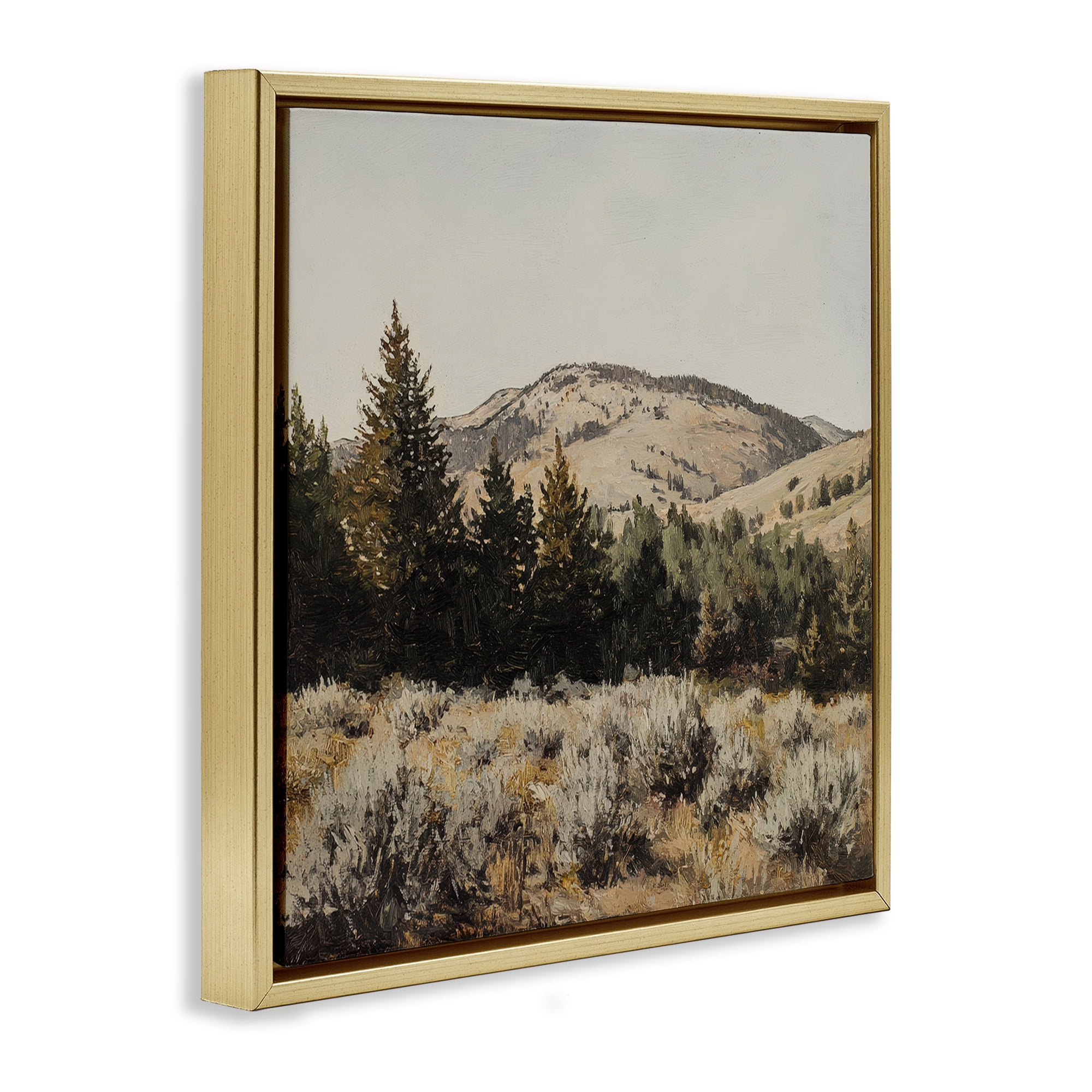 Stupell Industries Cedar Mountain View Gold Framed Floater Canvas Wall Art, design by Petal Prints Design