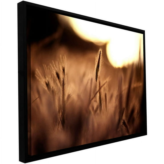 ArtWall Dean Uhlinger "Summer Field" Floater Framed Gallery-Wrapped Canvas