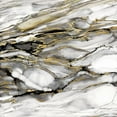 thumbnail image 3 of Robinson, Carol 20x20 Black Modern Framed Museum Art Print Titled - Marbled Gold I, 3 of 5