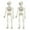 White, variant on Xuniizn Halloween Skeleton, 2Pcs Mini 3.6" Skeleton with Realistic Posable and Movable Joints for Yard Patio Lawn Garden Party Halloween Decoration Outdoor & Indoor