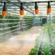 thumbnail image 5 of Kit de riego por goteo de 1/4 de pulgada | Tubería de distribución de 32 pies y 10 boquillas rociadoras ajustables | Sistema de riego de plantas que ahorra agua para jardín, invernadero, césped y, 5 of 8