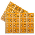 thumbnail image 1 of Pendaflex PFX06603 Color Coded Label, 1 of 1