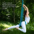 Victorem Aerial Silk Yoga Hammock Therapy Swing Gymnastics Equipment