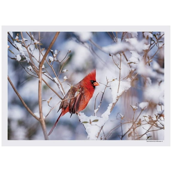 Cardinal in Snow Winter Paper Placemats - 10in. X 14in. - 50 Pack (702079)