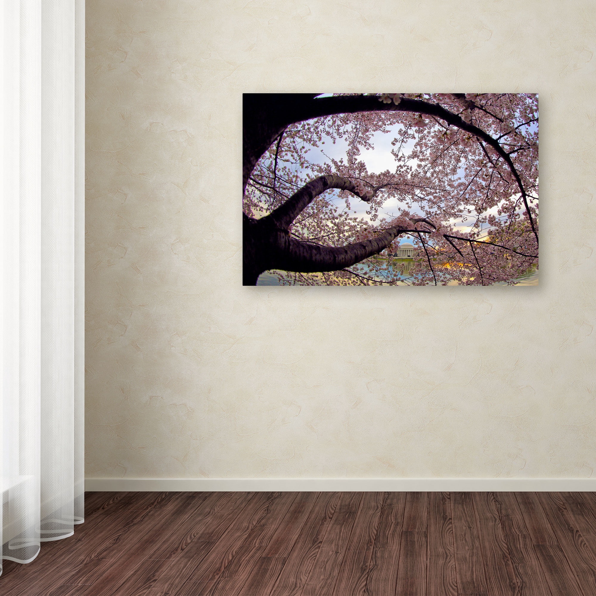 Trademark Fine Art "Cherry Blossoms 2014-1" Canvas Art by CATeyes