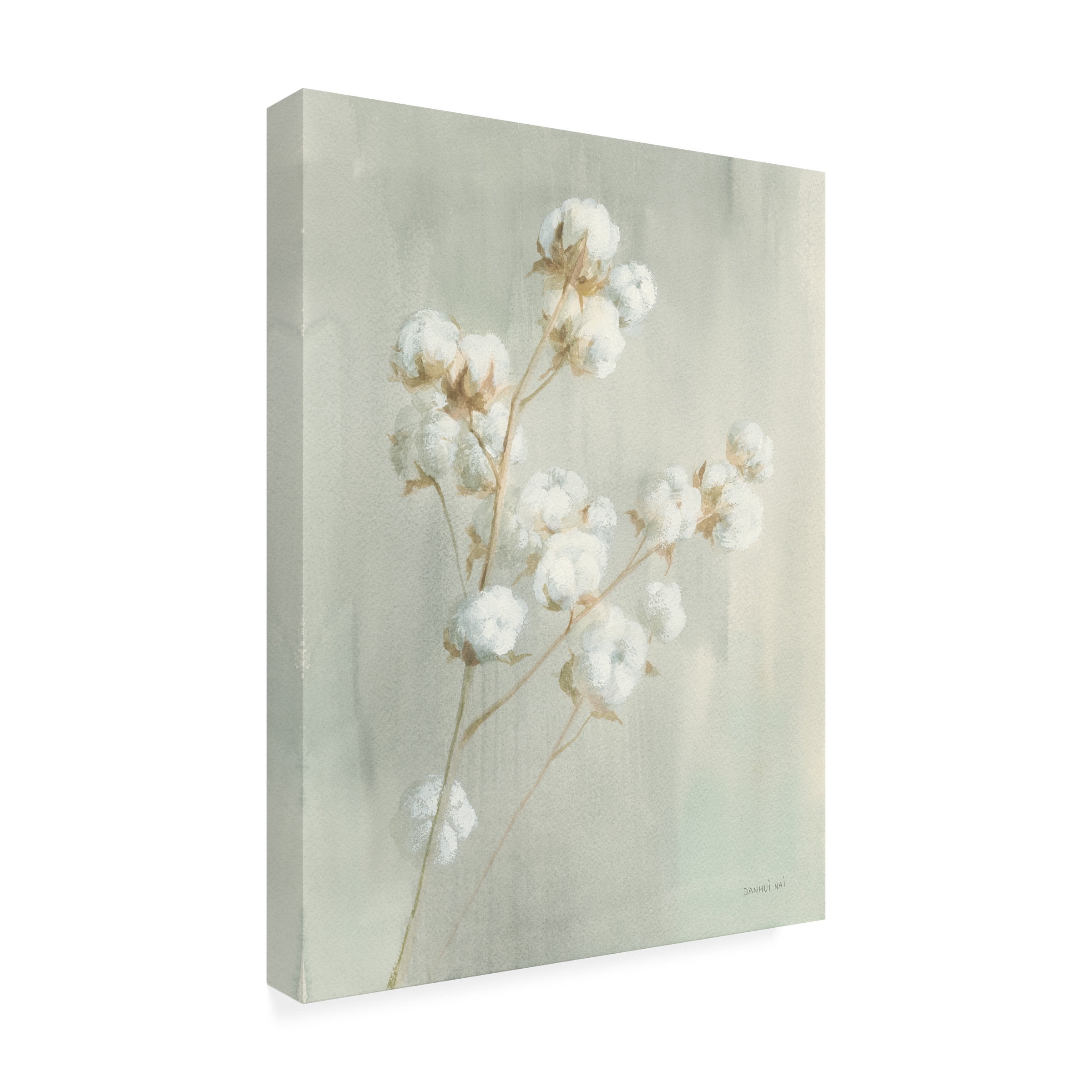 Trademark Fine Art 'Summer Harvest I' Canvas Art by Danhui Nai