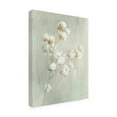 thumbnail image 4 of Trademark Fine Art 'Summer Harvest I' Canvas Art by Danhui Nai, 4 of 4