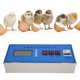thumbnail image 4 of Incubadora Digital automática LCD inteligente, incubadora de huevos de gallina, controlador de temperatura y humedad, 220V, 4 of 10