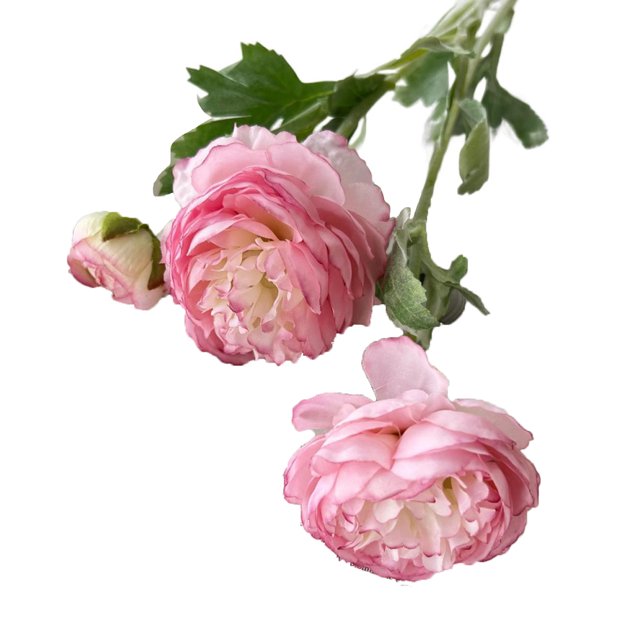 Peonies Artificial Flowers Bulk, Small Ivory Faux Fake Silk Peony