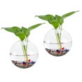 thumbnail image 1 of Unique Bargains 2 Pack Oblate Wall Hanging Terrarium Planters 5x5inch, Transparent, 1 of 7